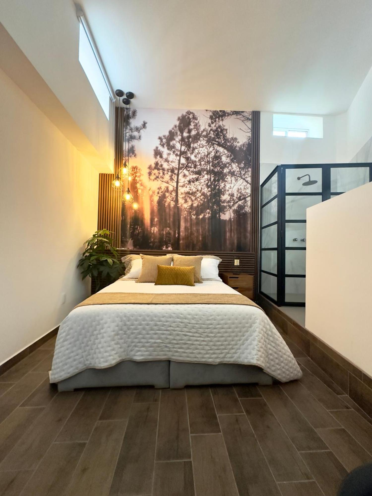Morada Luna Polanco Guest house