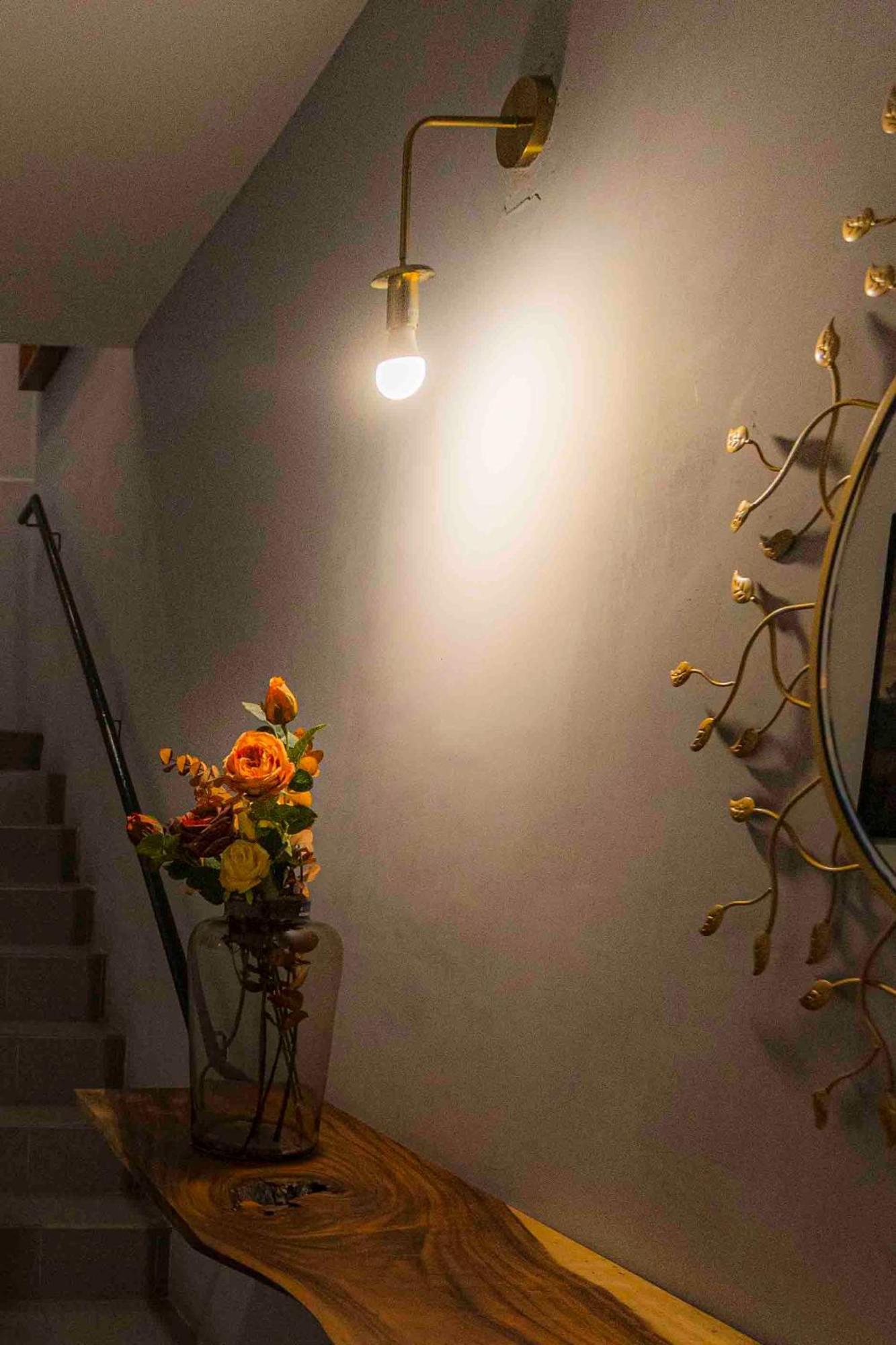 Morada Luna Polanco Guest house Mexico City